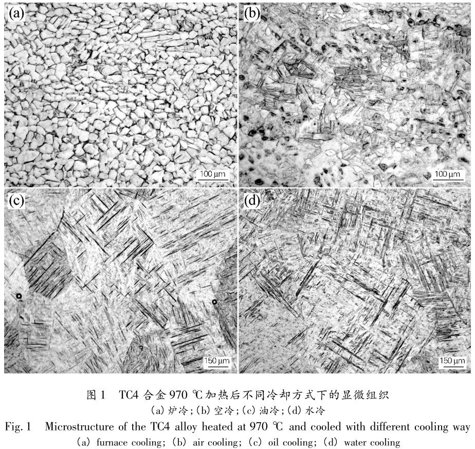 1704926396815049.jpg t1.jpg