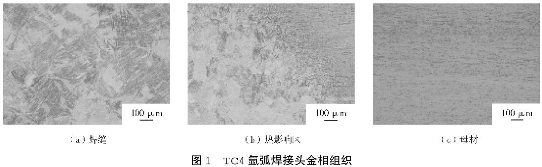 1705807557629963.jpg t1.jpg