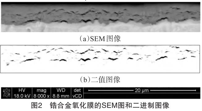 1729128195806932.jpg t2.jpg