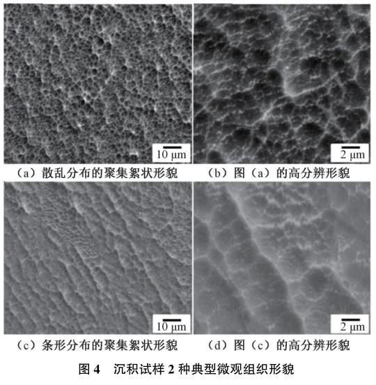 1729243114142611.jpg t4.jpg