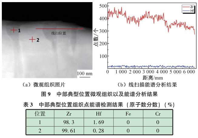 1729243159876127.jpg t9-b3.jpg