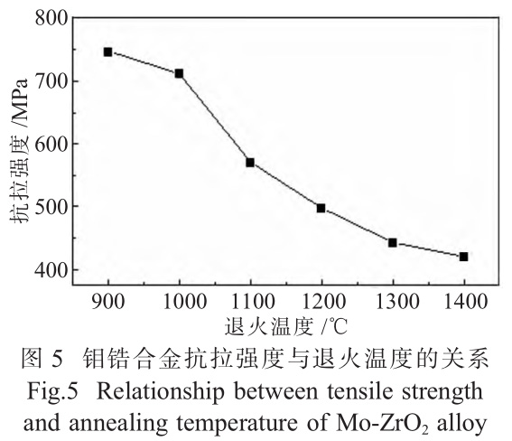 1729568251785981.jpg 5.jpg