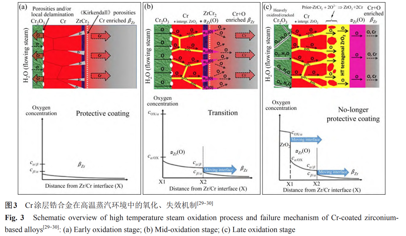 1734081774308725.jpg 3.jpg